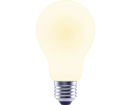 LED lamp E27/11W A67 warmwit mat - HBS145 - Hbs00145 1 - HBS00145