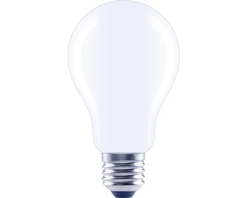 LED lamp E27/11W A67 warmwit mat - HBS145 - Hbs00145 - HBS00145